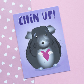 Chin Up Chinchilla - Ansichtkaart