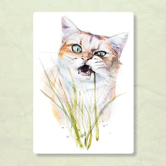 Kat met Sprietjes Gras - Ansichtkaart