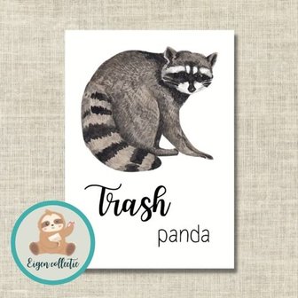 Trash Panda Wasbeer - Ansichtkaart