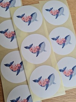 Walvis - Set van 10 Stickers