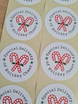 Special Delivery of Holiday Cheer Kerst - Set van 10 Stickers