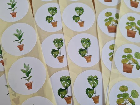 Planten in Potten Drie Soorten - Set van 15 Stickers