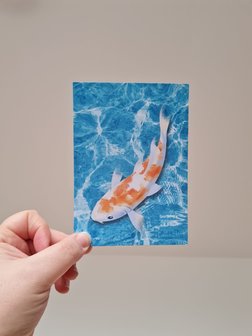 Koi Karper in het Water Vis - Ansichtkaart