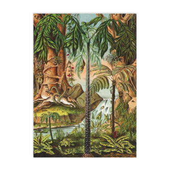 Bos Jungle Be Natural - Ansichtkaart