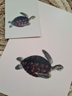 Zeeschildpad - Ansichtkaart en Cadeaulabel