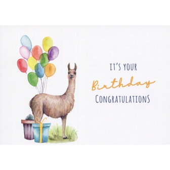 'It's your birthday. Congratulations' Alpaca / Lama - Ansichtkaart