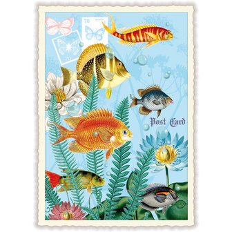 Vissen Onder Water Glitters - Ansichtkaart