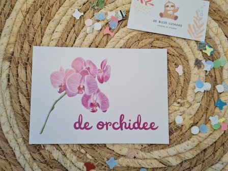 'De Orchidee' Bloem - Ansichtkaart