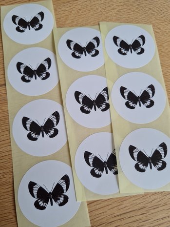 Vlinder Zwart Wit - Set van 10 Stickers