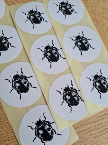 Lieveheersbeestje Zwart Wit - Set van 10 Stickers
