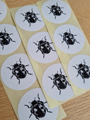 Lieveheersbeestje Zwart Wit - Set van 10 Stickers