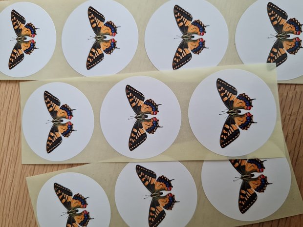 Vlinder Breed - Set van 10 Stickers