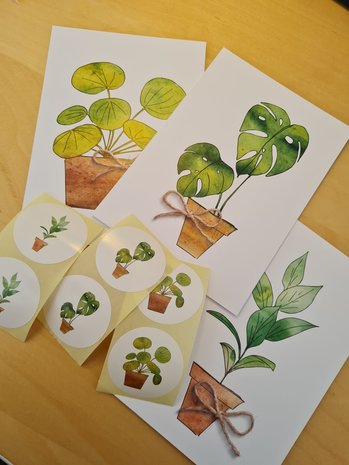 Planten - Set van 3 Ansichtkaarten en 6 Stickers