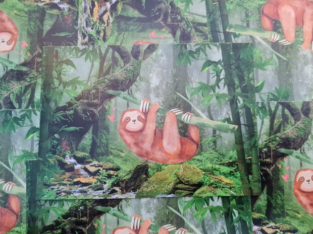 Luiaard in de Jungle - Ansichtkaart 