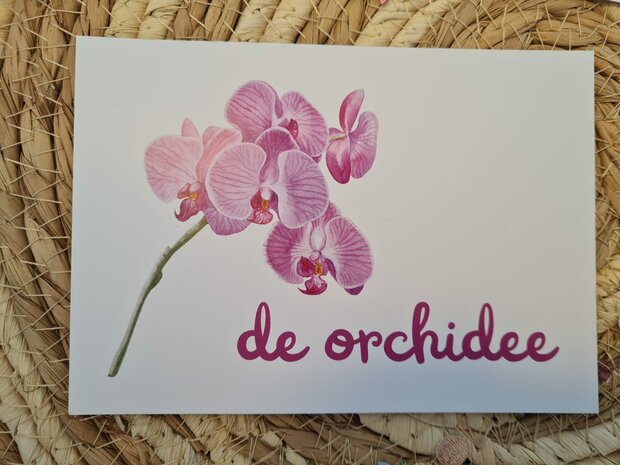 'De Orchidee' Bloem - Ansichtkaart