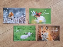 Seizoenen Dieren - Set van 4 Fotokaarten