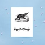 Steppeslurfhondje - Ansichtkaart