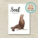 Seal of approval Zeehond - Ansichtkaart