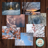 Winter Foto's - Set van 7 Ansichtkaarten