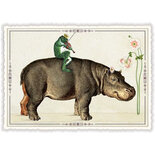 Nijlpaard en Kikker - Ansichtkaart