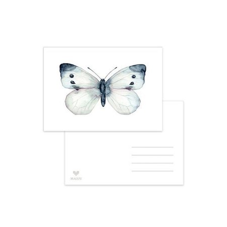 Vlinder Koolwitje - Ansichtkaart