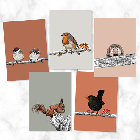 Herfst Vogels - Set van 5 Ansichtkaarten
