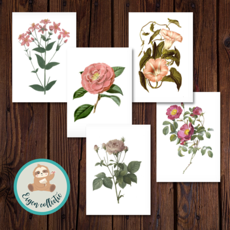 Botanische Bloemen - Set van 5 Ansichtkaarten