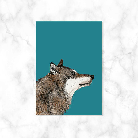 Wolf op Petrol - Ansichtkaart