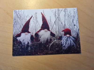 Drie Kabouters in het Bos Winter IJs Sneeuw - Ansichtkaart